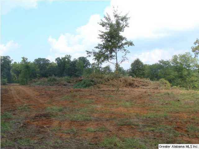 0 Eastern Valley Road, Unit 9 2 AC Bessemer, AL 35020 - Photo 3 of 3