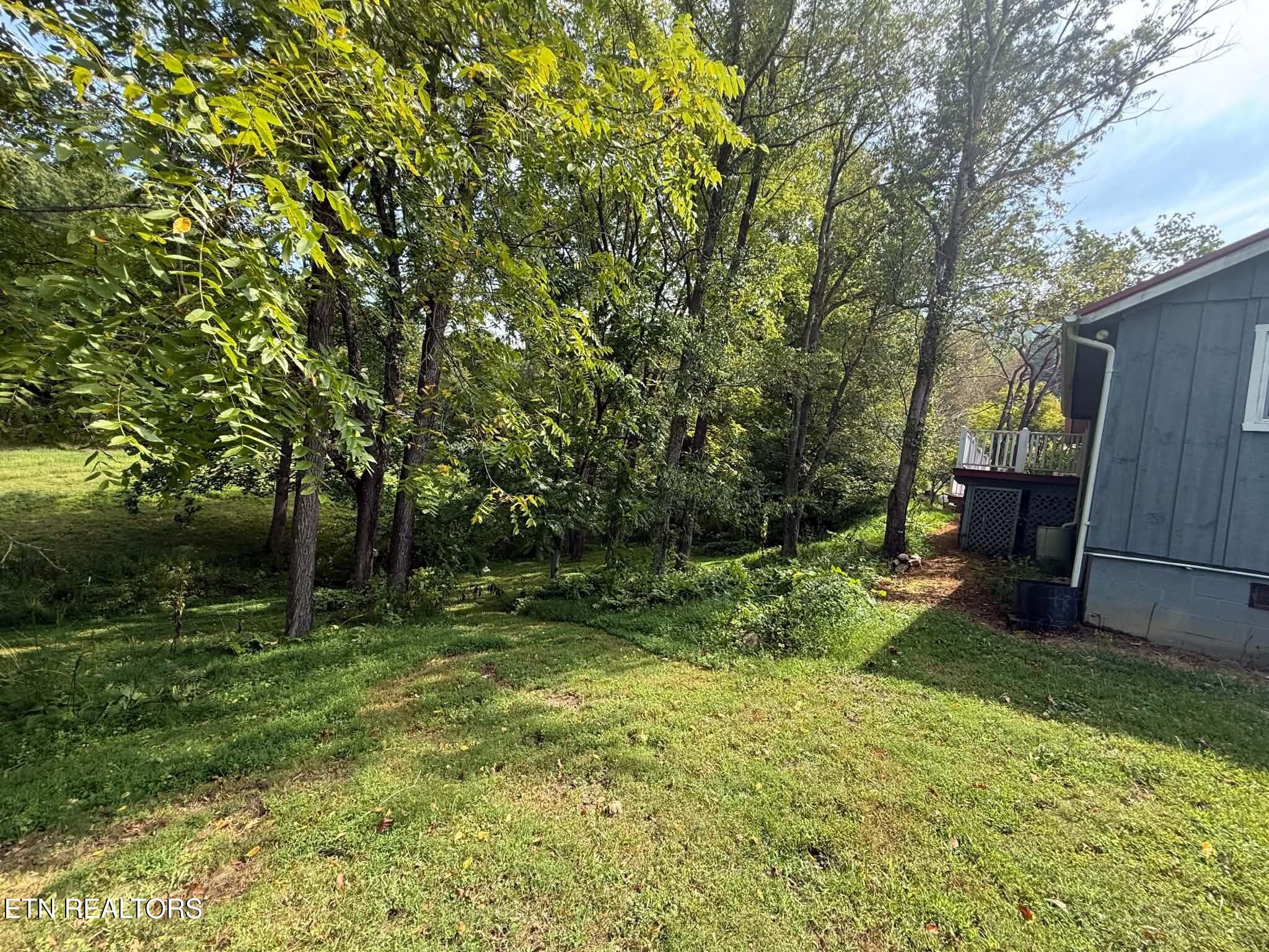 925 Tweed Springs Road Greeneville, TN 37743 - Photo 13 of 47 1-13