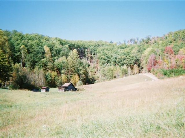 850 Bluff Road Marble, NC 28905 - Photo 7 of 8