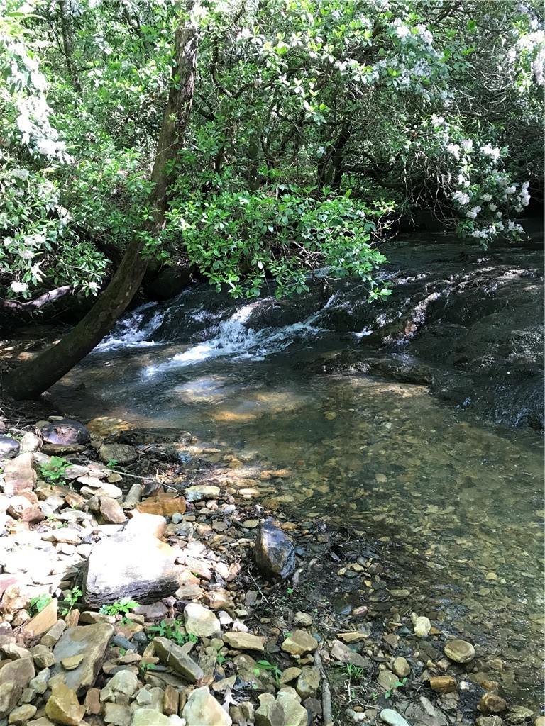 0 Marble Branch Trail Walhalla, SC 29691 - Photo 11 of 47