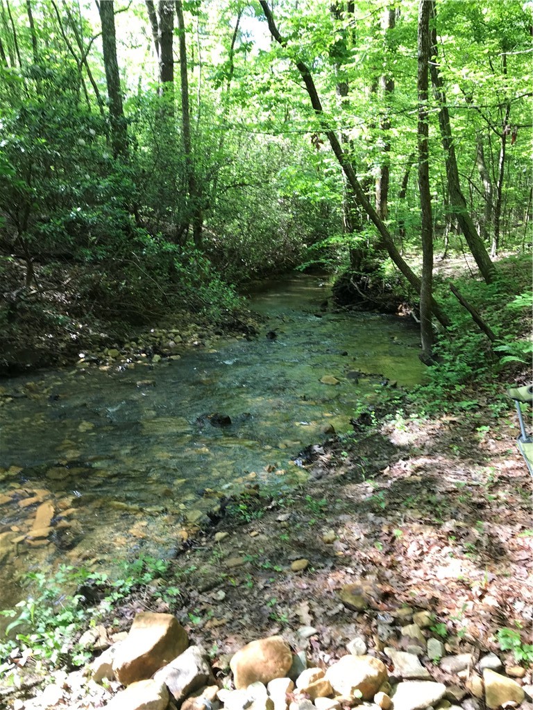 0 Marble Branch Trail Walhalla, SC 29691 - Photo 12 of 47