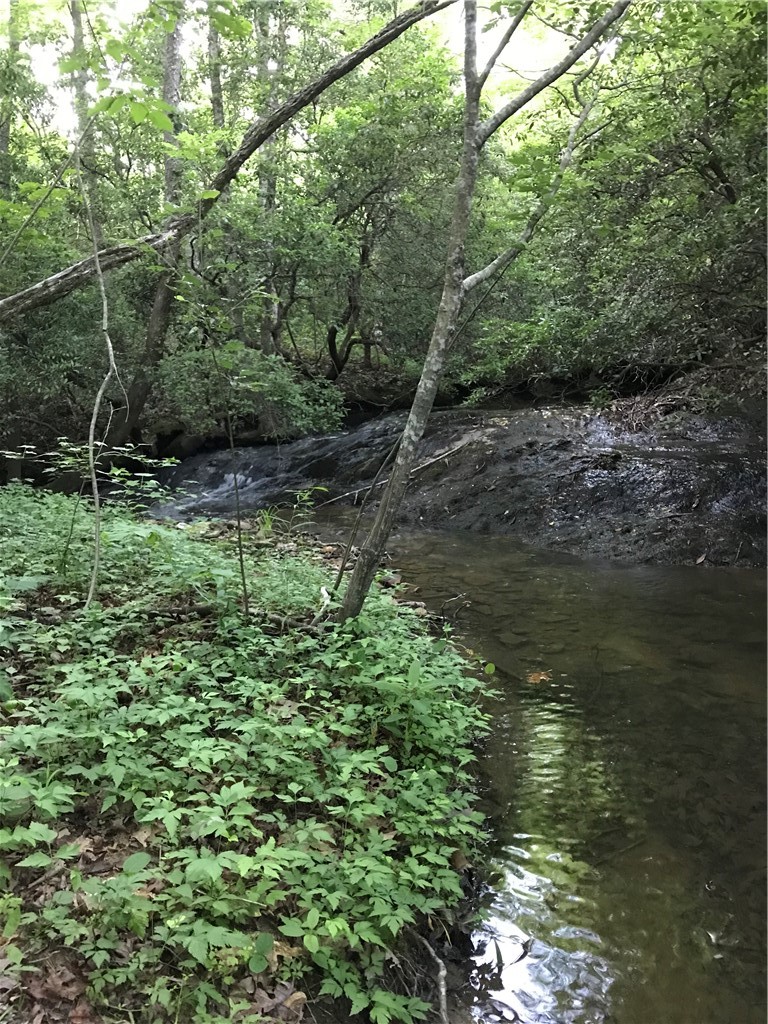 0 Marble Branch Trail Walhalla, SC 29691 - Photo 14 of 47