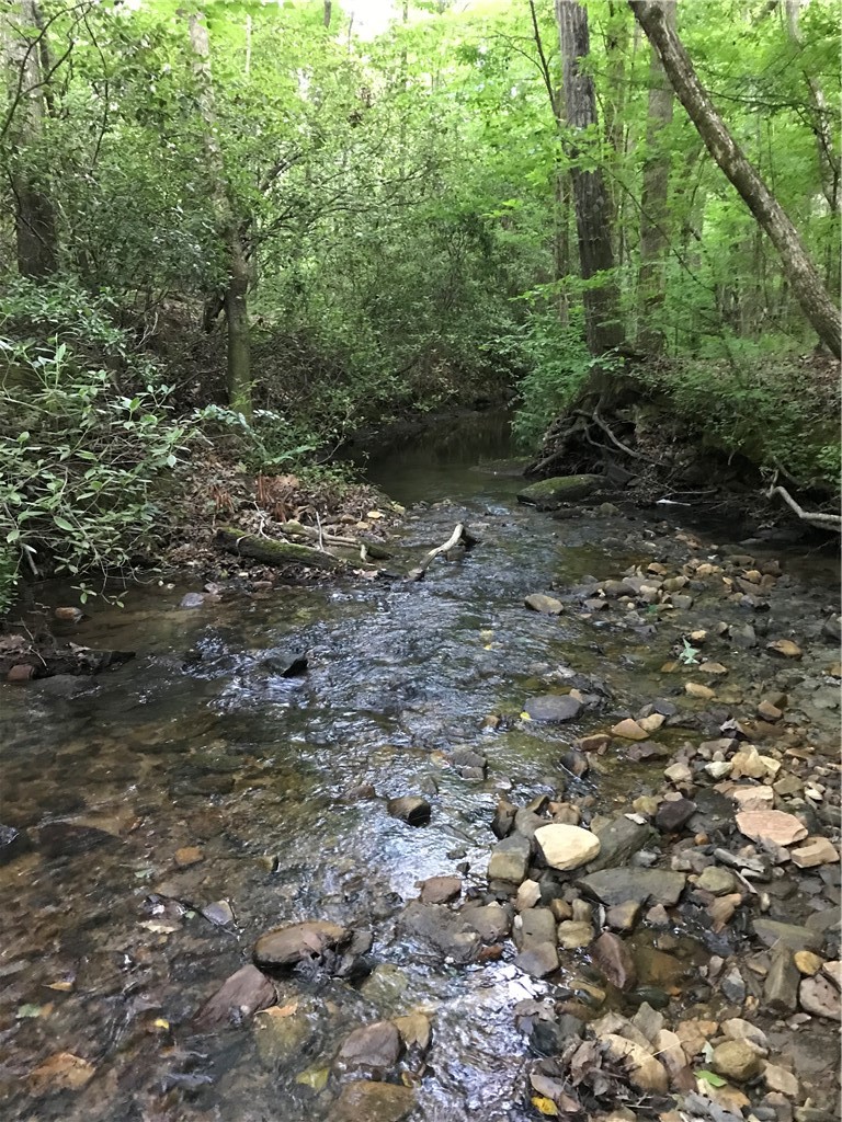 0 Marble Branch Trail Walhalla, SC 29691 - Photo 15 of 47