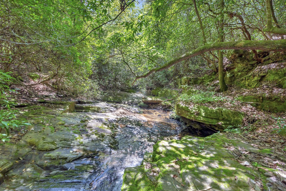 0 Marble Branch Trail Walhalla, SC 29691 - Photo 18 of 47