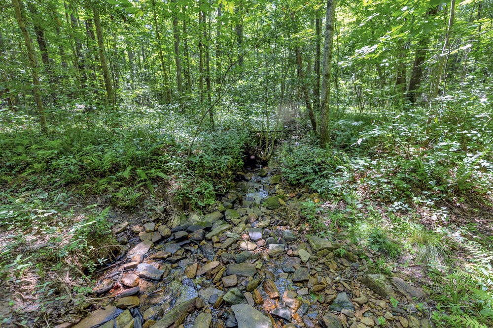 0 Marble Branch Trail Walhalla, SC 29691 - Photo 20 of 47