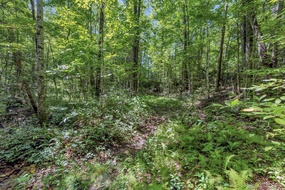 0 Marble Branch Trail Walhalla, SC 29691 - Photo 21 of 47