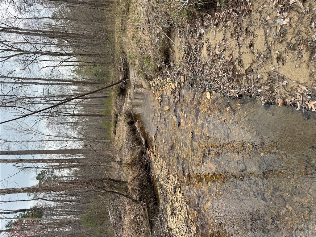 0 Marble Branch Trail Walhalla, SC 29691 - Photo 26 of 47