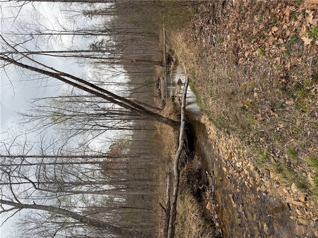 0 Marble Branch Trail Walhalla, SC 29691 - Photo 27 of 47
