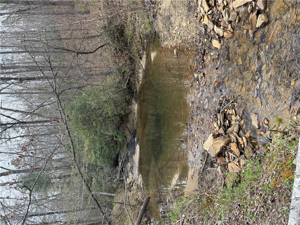 0 Marble Branch Trail Walhalla, SC 29691 - Photo 28 of 47