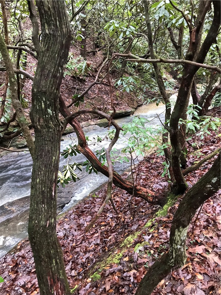 0 Marble Branch Trail Walhalla, SC 29691 - Photo 3 of 47