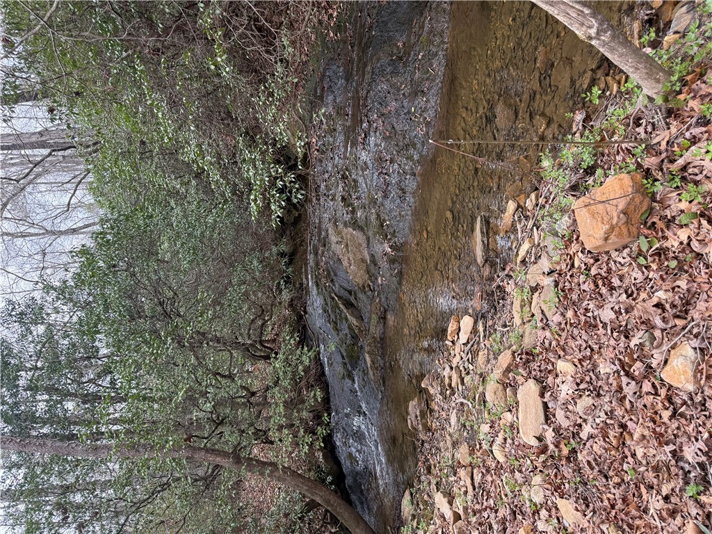 0 Marble Branch Trail Walhalla, SC 29691 - Photo 31 of 47