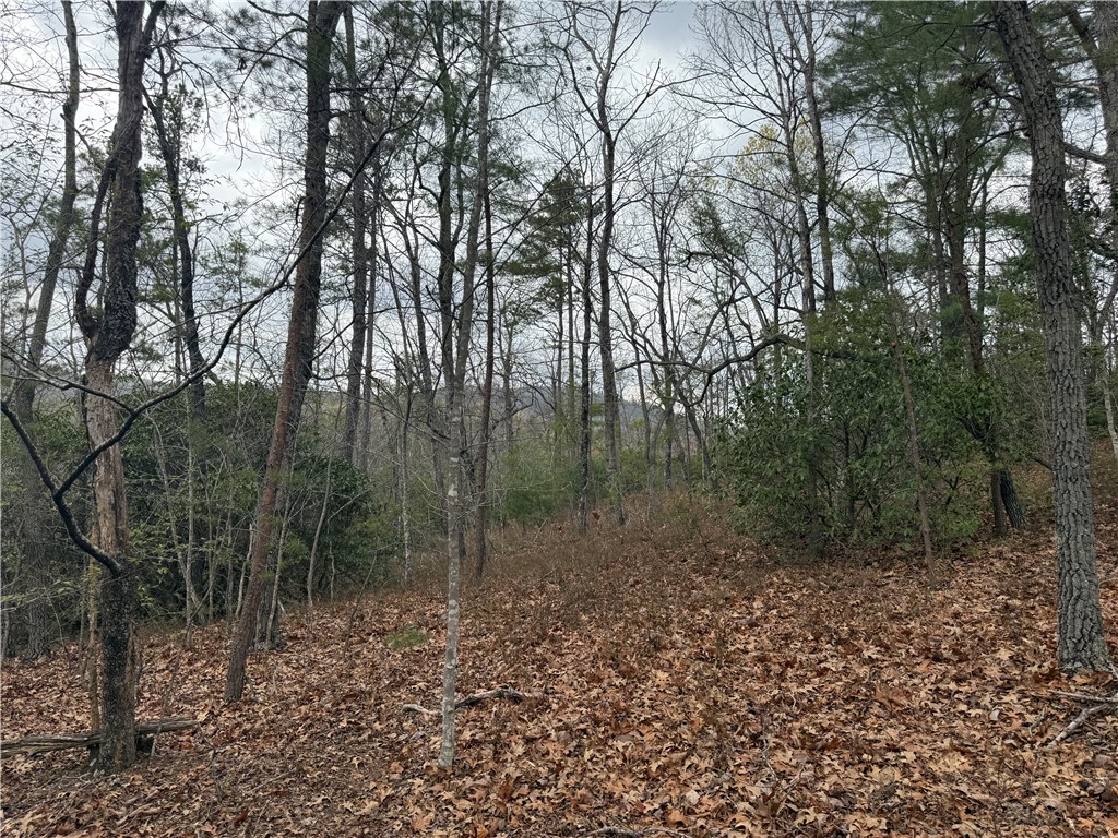 0 Marble Branch Trail Walhalla, SC 29691 - Photo 32 of 47