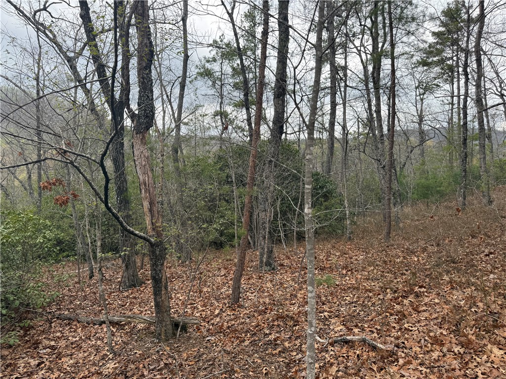 0 Marble Branch Trail Walhalla, SC 29691 - Photo 33 of 47 Level area with a Mountain View that would be an amazing home site.