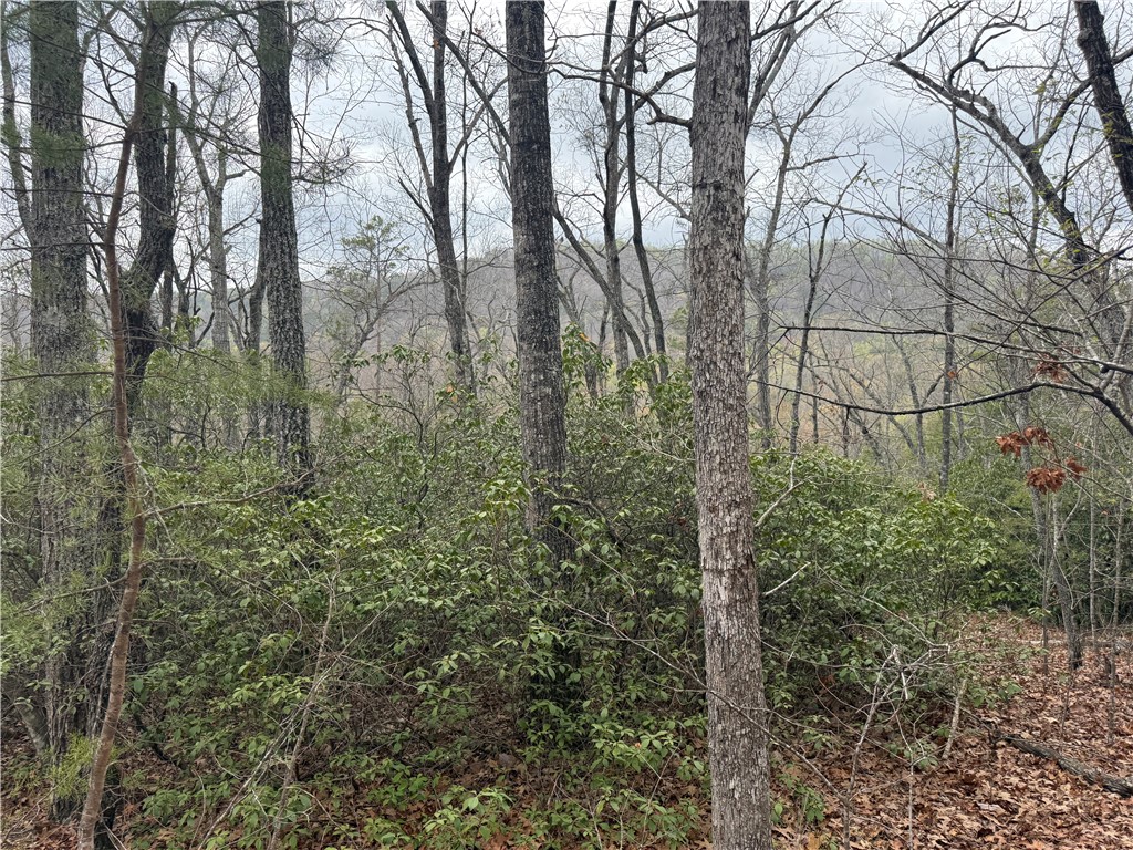 0 Marble Branch Trail Walhalla, SC 29691 - Photo 34 of 47