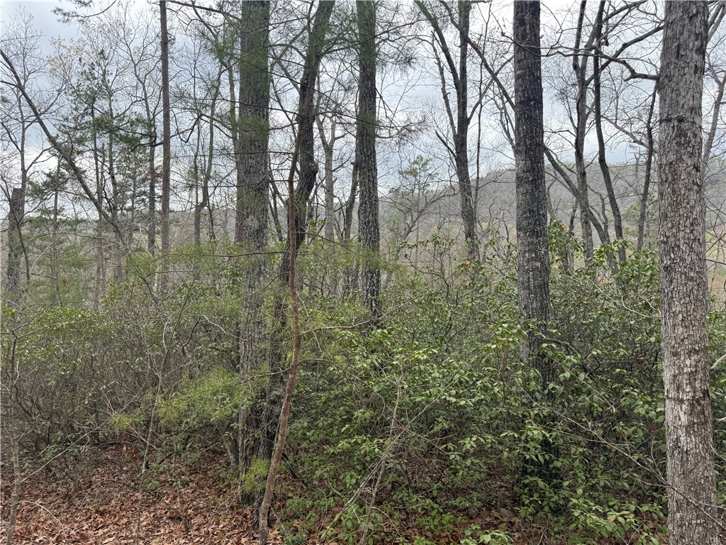 0 Marble Branch Trail Walhalla, SC 29691 - Photo 35 of 47