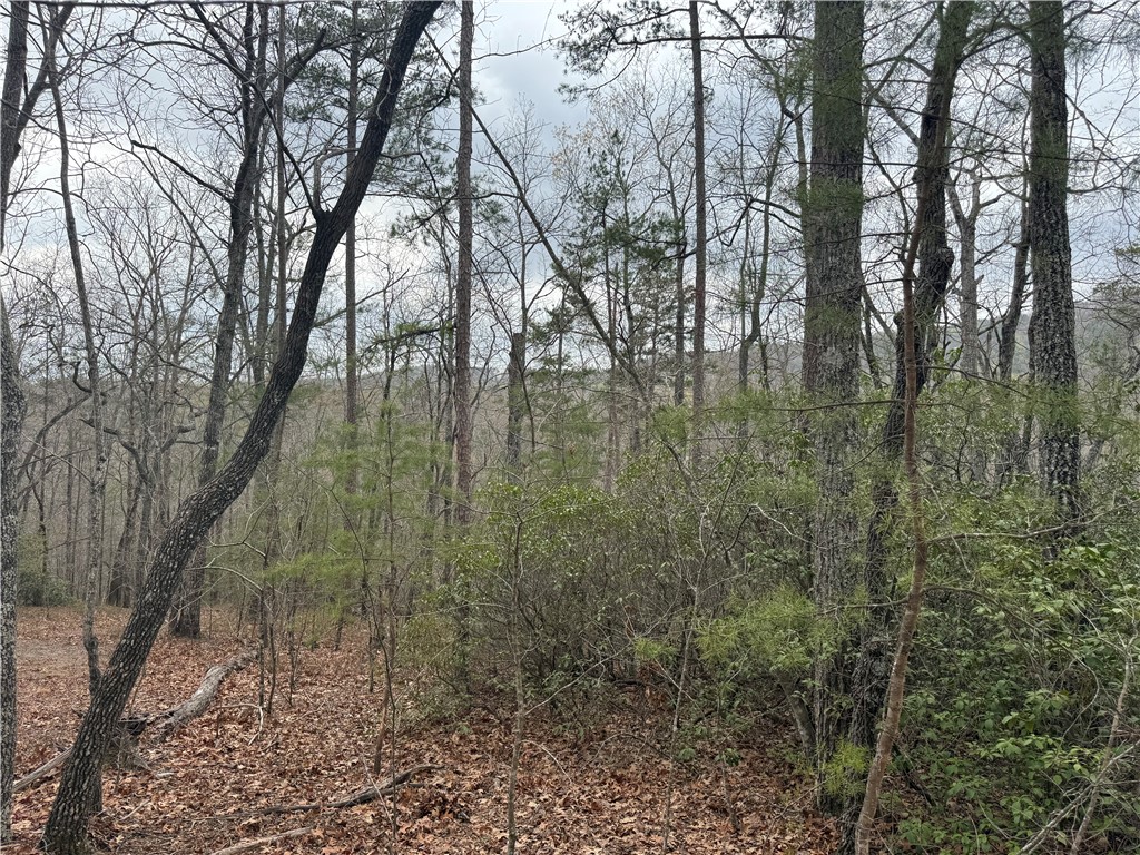 0 Marble Branch Trail Walhalla, SC 29691 - Photo 36 of 47