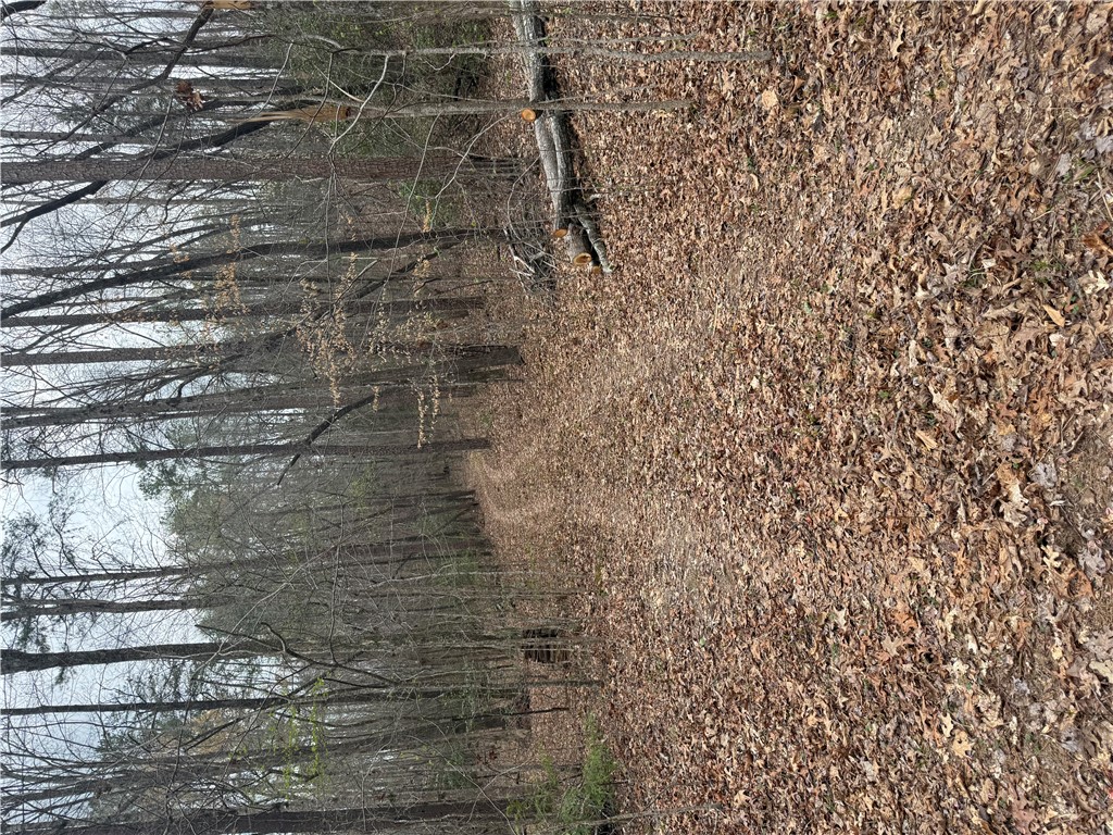 0 Marble Branch Trail Walhalla, SC 29691 - Photo 37 of 47 Drive from the entrance up to a great spot to build your new home!