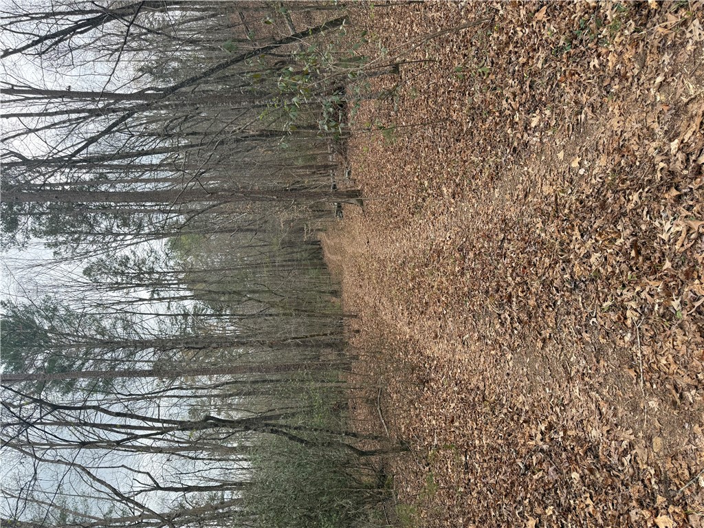 0 Marble Branch Trail Walhalla, SC 29691 - Photo 38 of 47