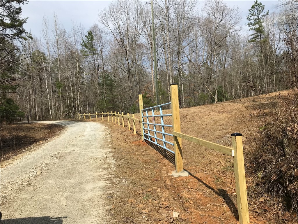 0 Marble Branch Trail Walhalla, SC 29691 - Photo 42 of 47 Driveway view coming into property.