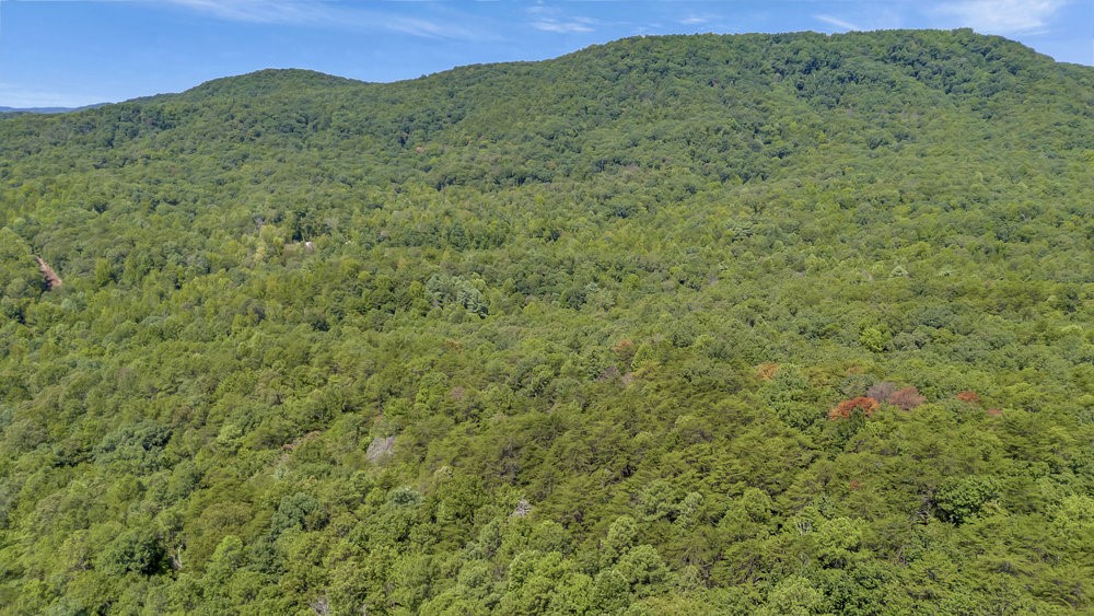 0 Marble Branch Trail Walhalla, SC 29691 - Photo 44 of 47 Property has Mountain Views