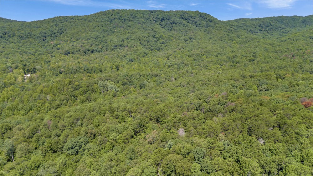 0 Marble Branch Trail Walhalla, SC 29691 - Photo 45 of 47