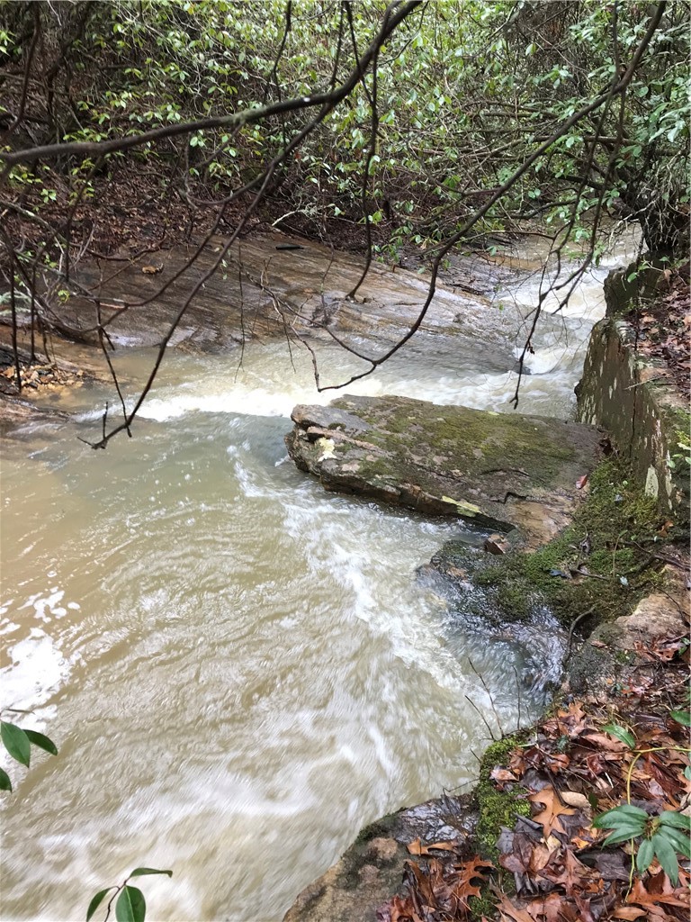 0 Marble Branch Trail Walhalla, SC 29691 - Photo 5 of 47