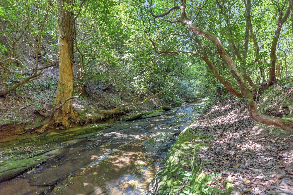0 Marble Branch Trail Walhalla, SC 29691 - Photo 6 of 47 Beautiful creek runs the length of the property.