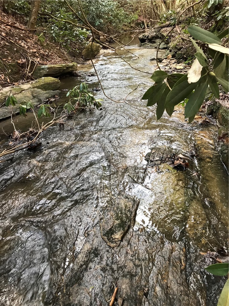 0 Marble Branch Trail Walhalla, SC 29691 - Photo 8 of 47