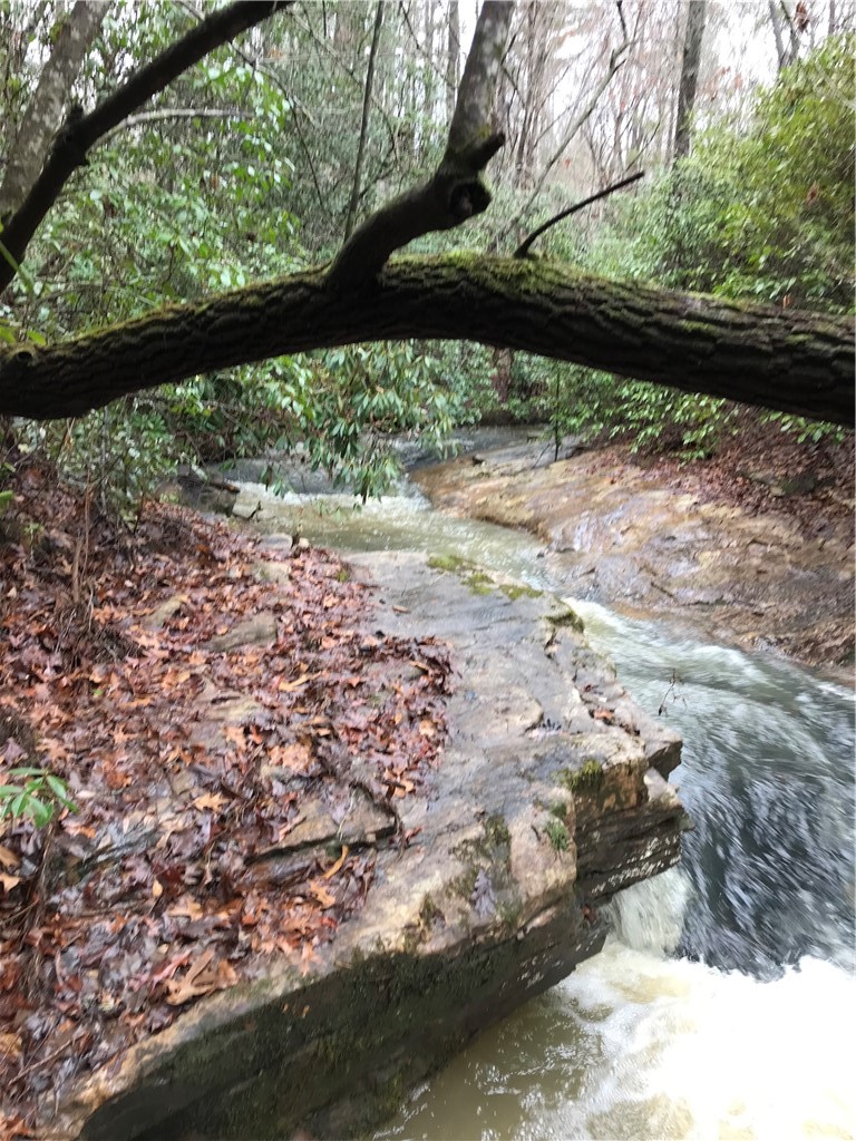 0 Marble Branch Trail Walhalla, SC 29691 - Photo 10 of 47