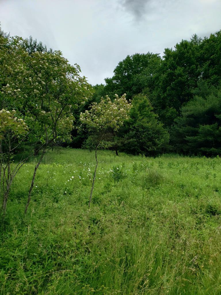 6751 Miola Road Clarion, PA 16214 - Photo 4 of 5