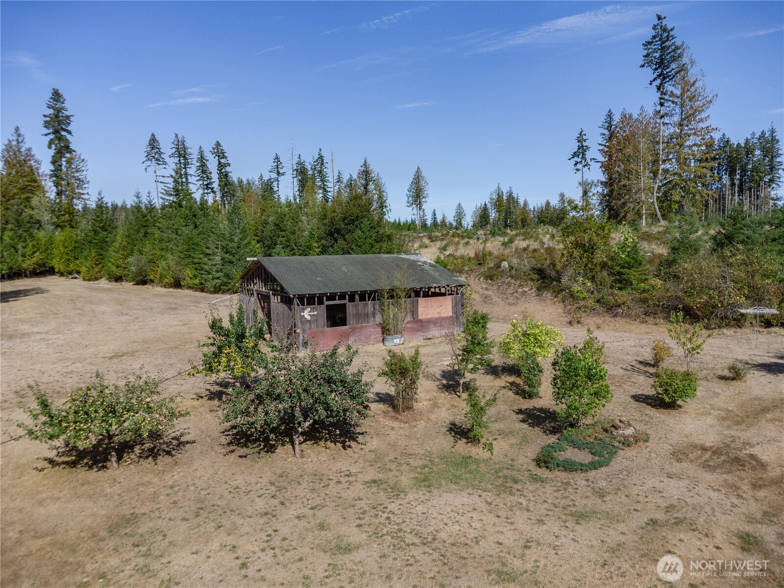 2035 Egg And I Road Chimacum, WA 98325 - Photo 30 of 40 a view of a dry yard with a house in the background