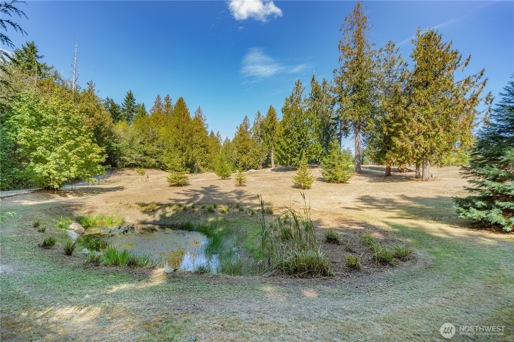 2035 Egg And I Road Chimacum, WA 98325 - Photo 33 of 40 a view of ocean view with large trees