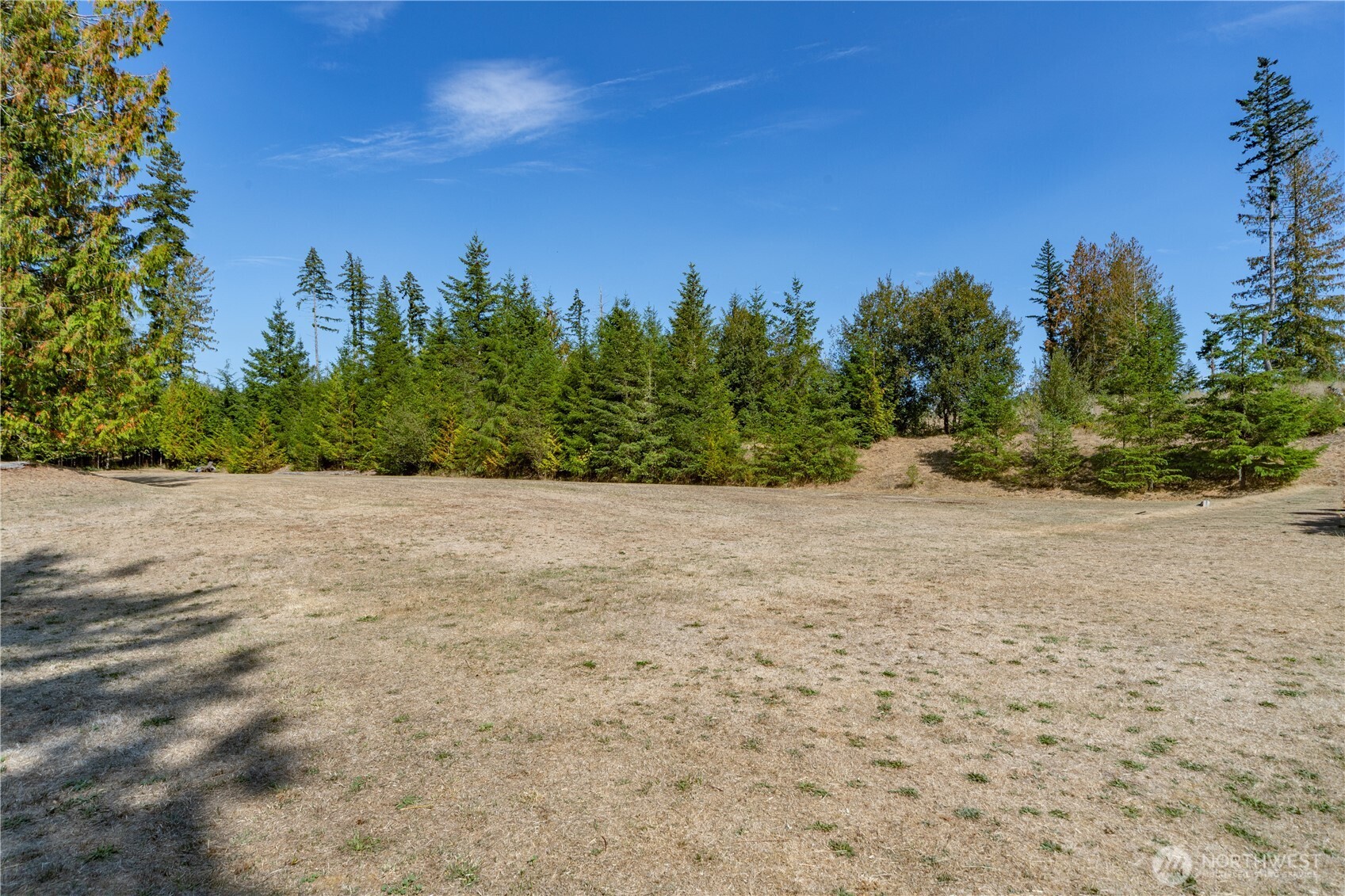 2035 Egg And I Road Chimacum, WA 98325 - Photo 36 of 40 a view of a yard with a tree