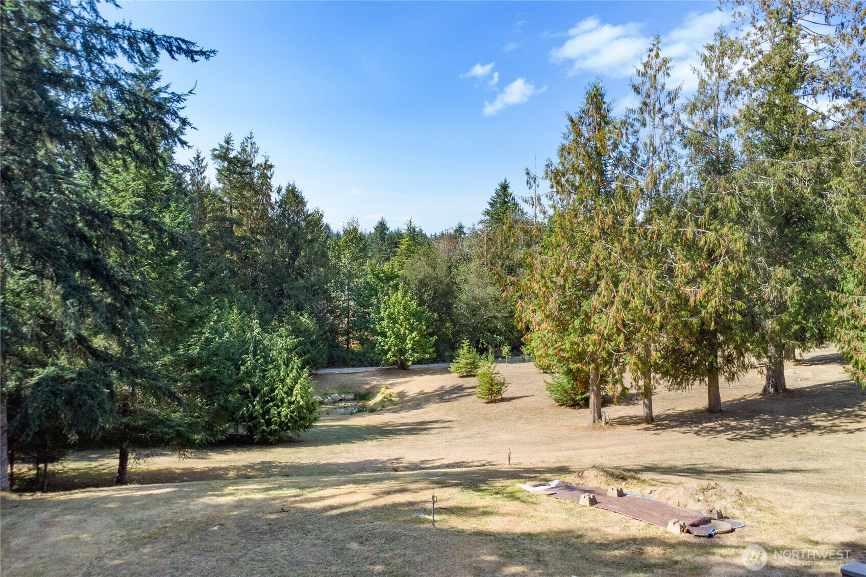 2035 Egg And I Road Chimacum, WA 98325 - Photo 39 of 40 a view of road with trees