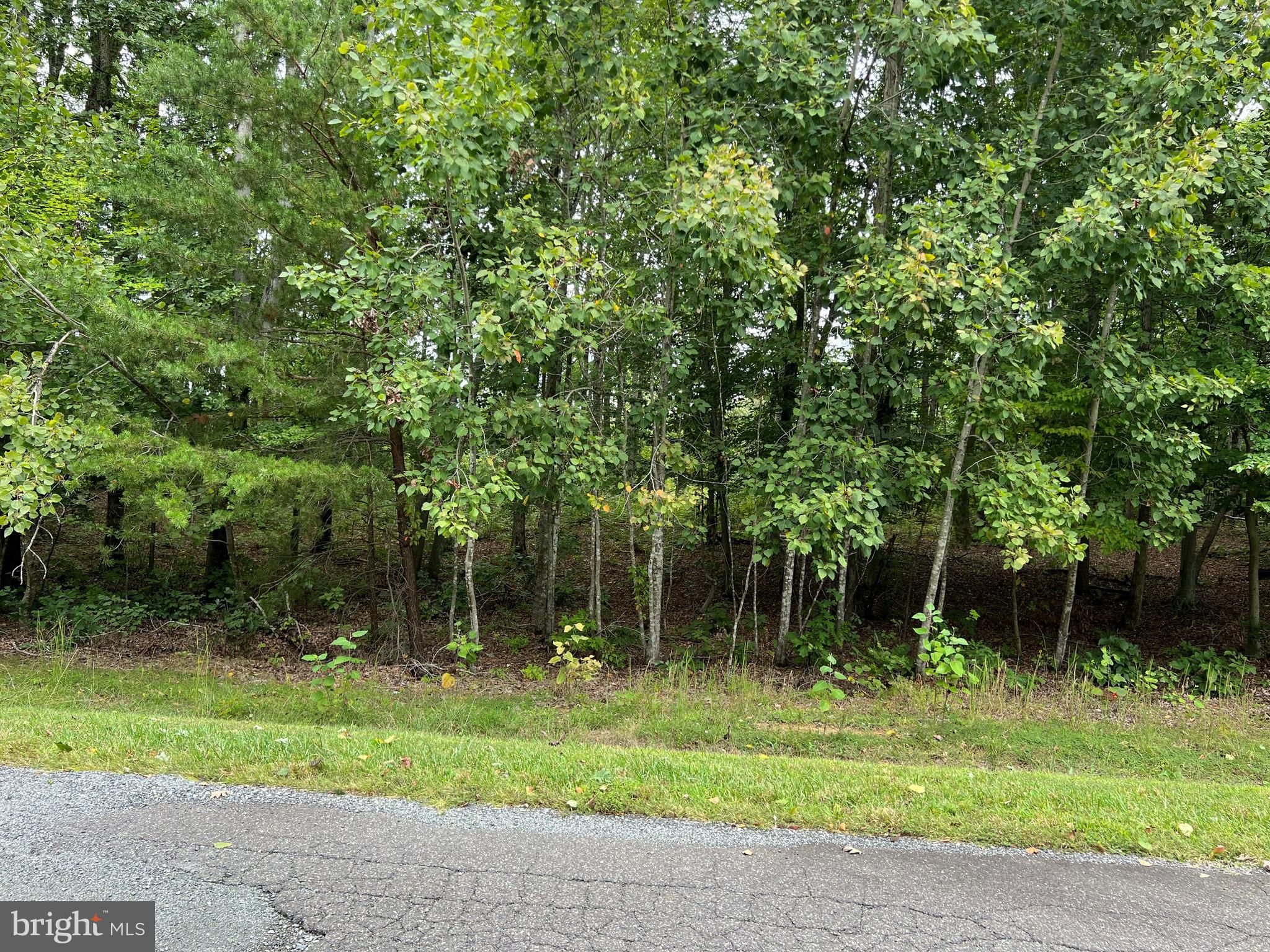 Fleeter Street Mineral, VA 23117 - Photo 2 of 10 Gallery Image 2