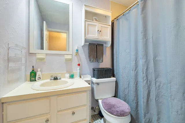 a bathroom with a sink a toilet a mirror and shower curtain