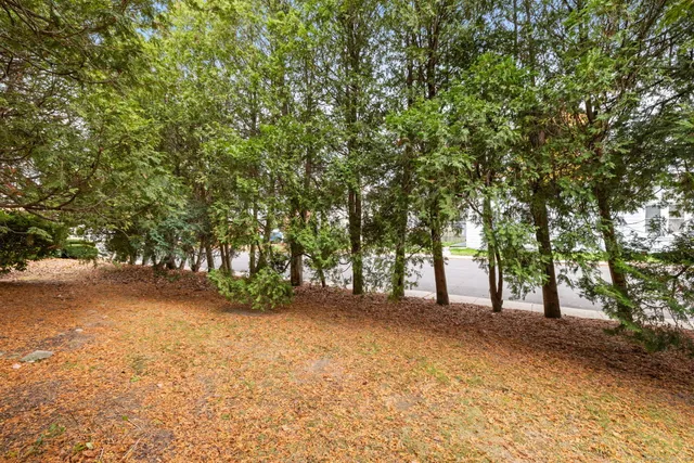 a view of outdoor space and yard