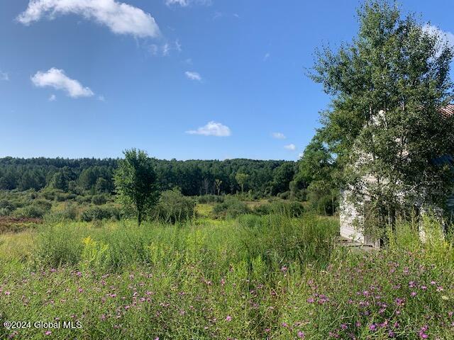 L25 Wells Road Pattersonville, NY 12137 - Photo 5 of 15 IMG_1930