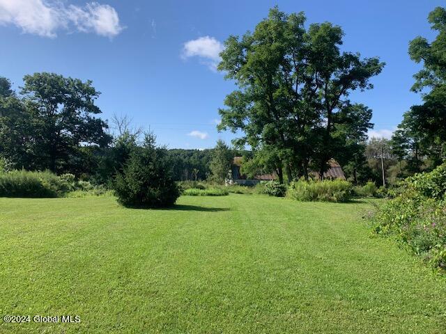 L25 Wells Road Pattersonville, NY 12137 - Photo 10 of 15 IMG_1925