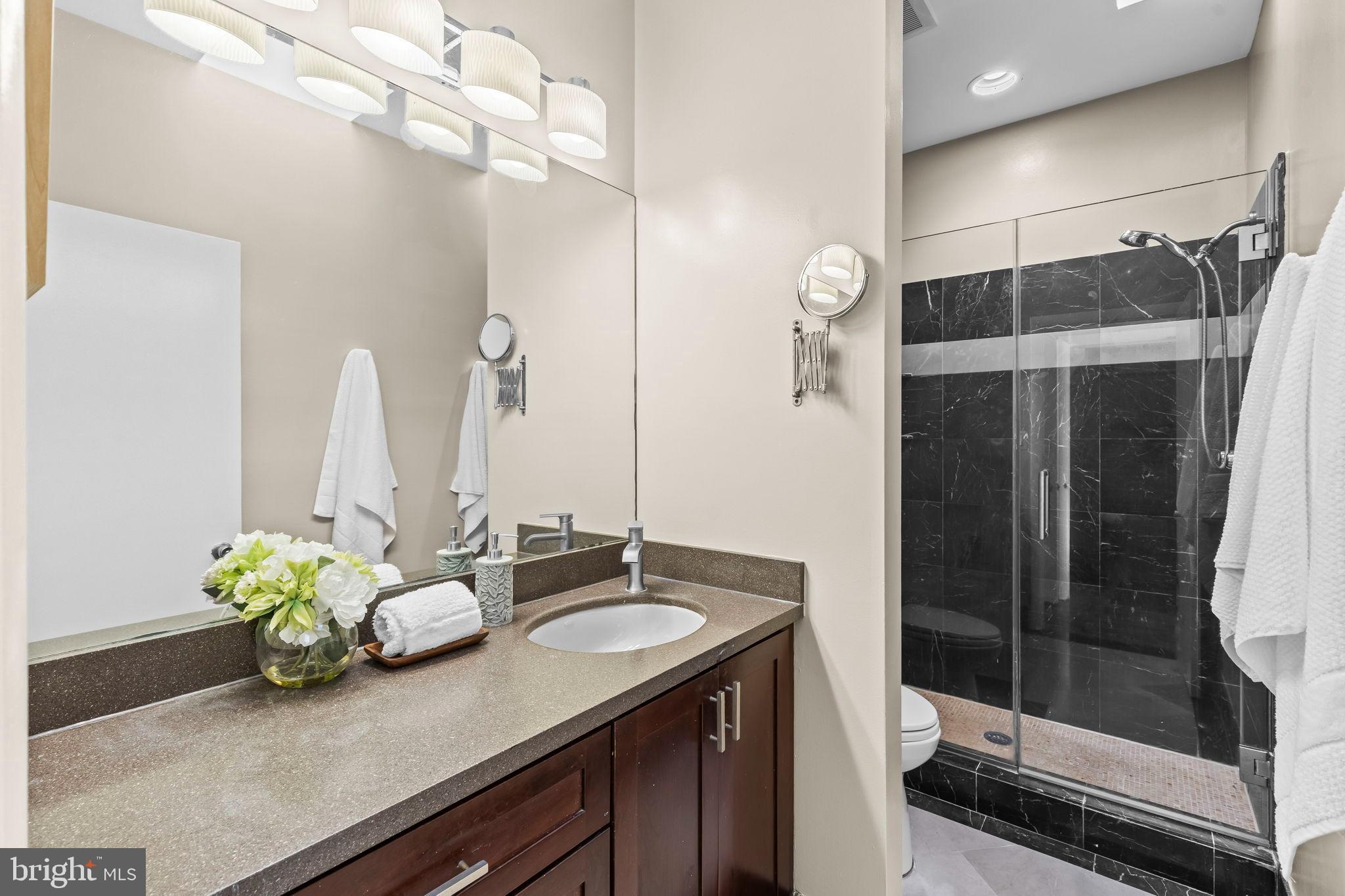 1729 Newton Street Northwest Washington, DC 20010 - Photo 21 of 45 a bathroom with a sink a mirror and a shower