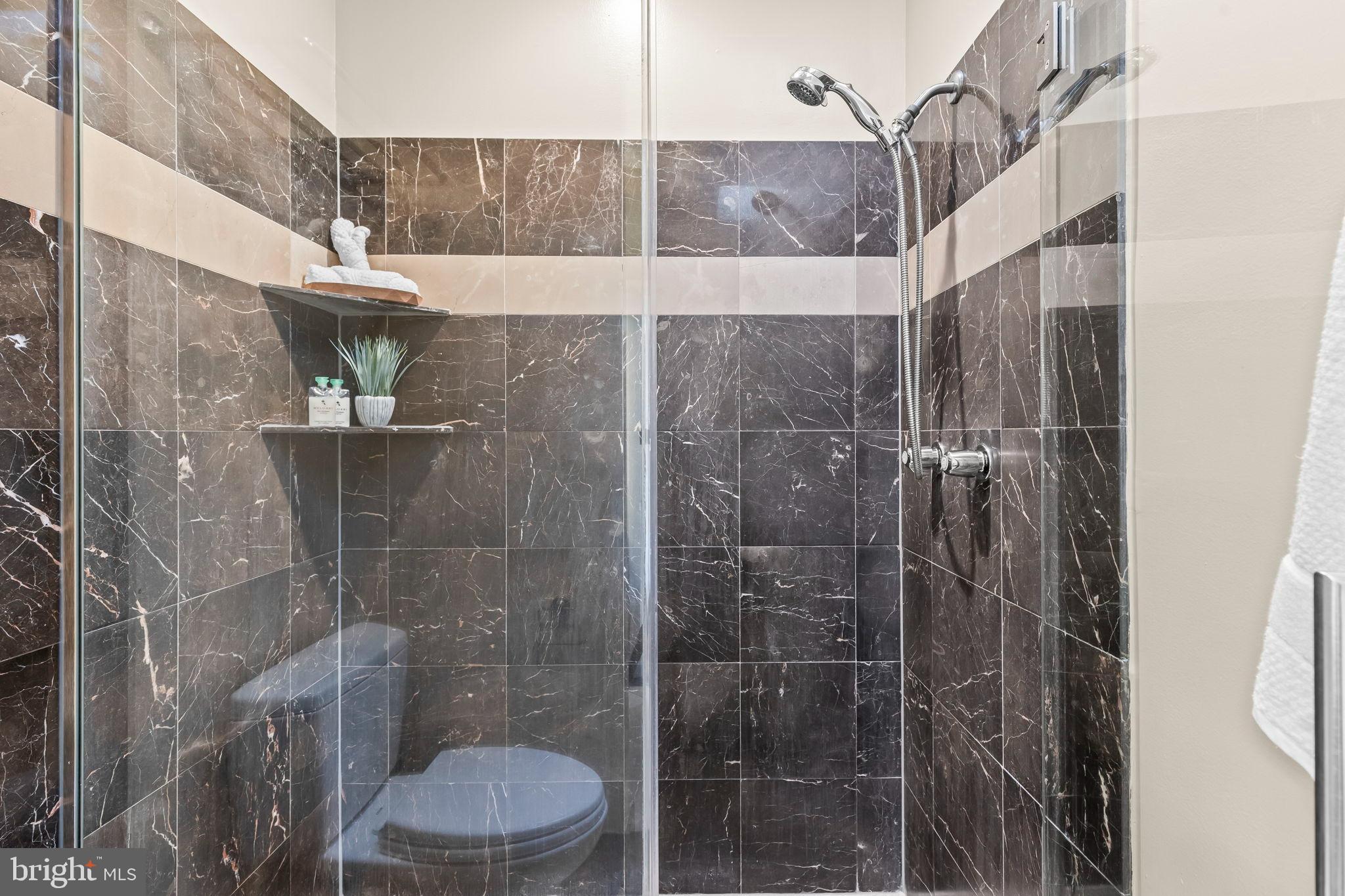 1729 Newton Street Northwest Washington, DC 20010 - Photo 23 of 45 a bathroom with a toilet and a shower