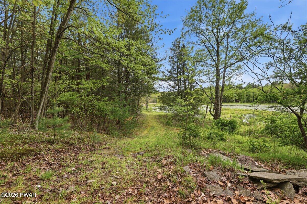 103 Forever Green Road Lakeville, PA 18438 - Photo 35 of 179