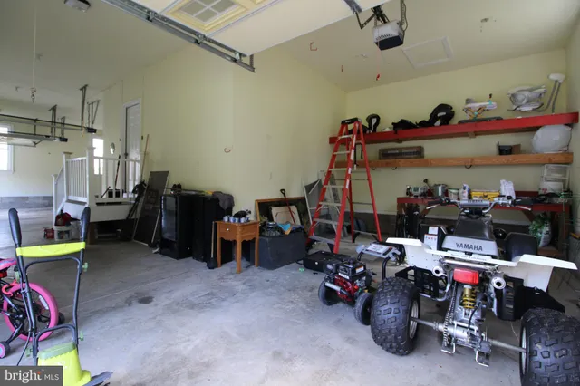 a view of a park with plants and large trees