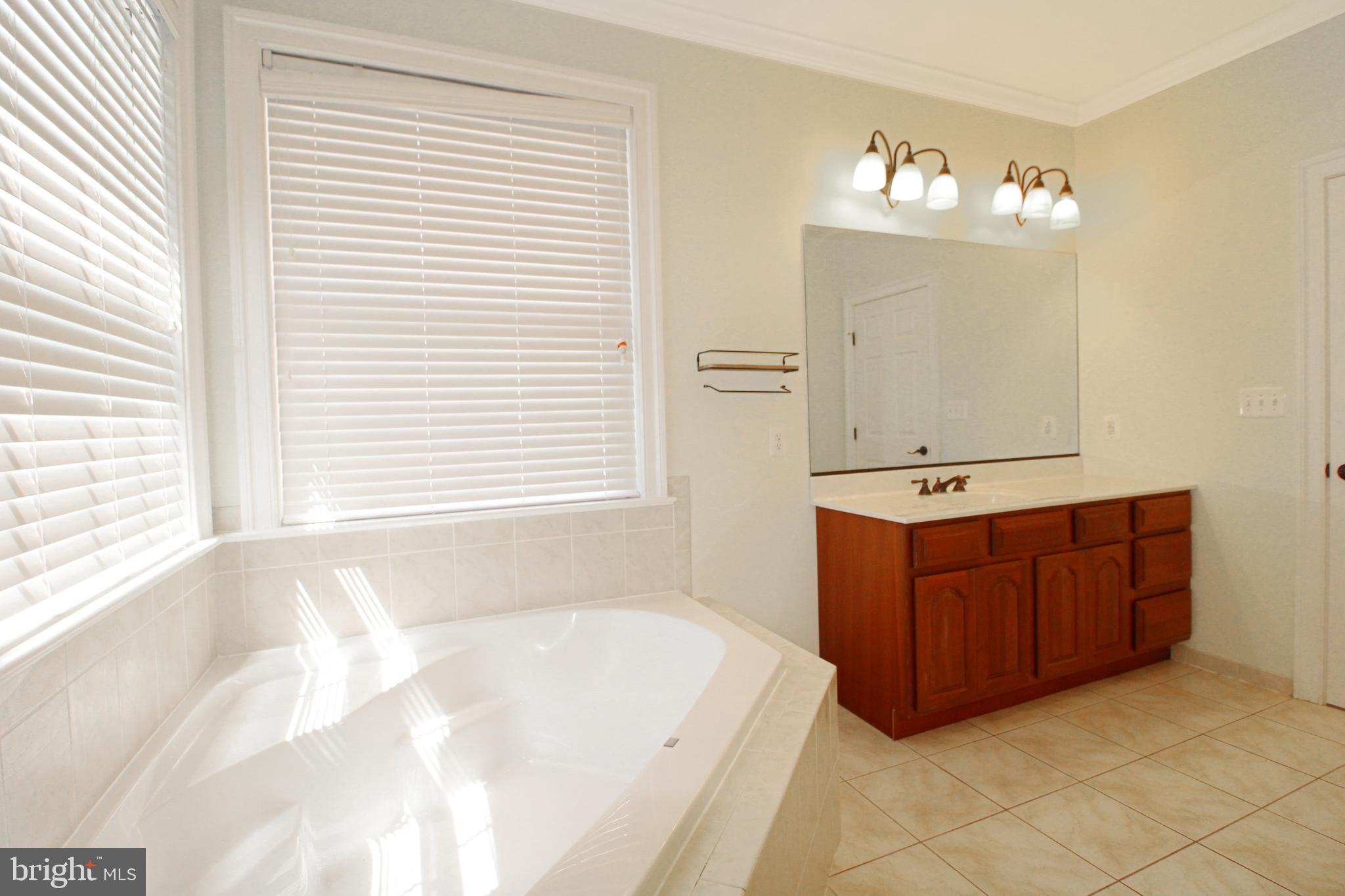 113 Paulowina Road Queen Anne, MD 21657 - Photo 10 of 42 a bathroom with a bathtub sink and mirror