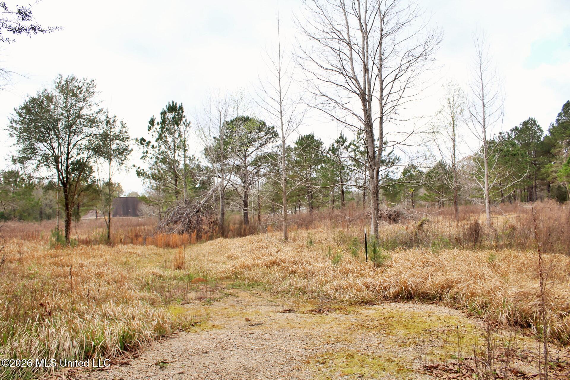 4.63-ac White Road Lucedale, MS 39452 - Photo 3 of 8 3