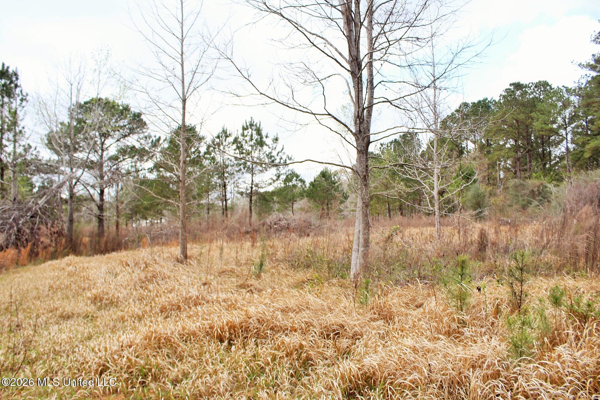 4.63-ac White Road Lucedale, MS 39452 - Photo 7 of 8 7