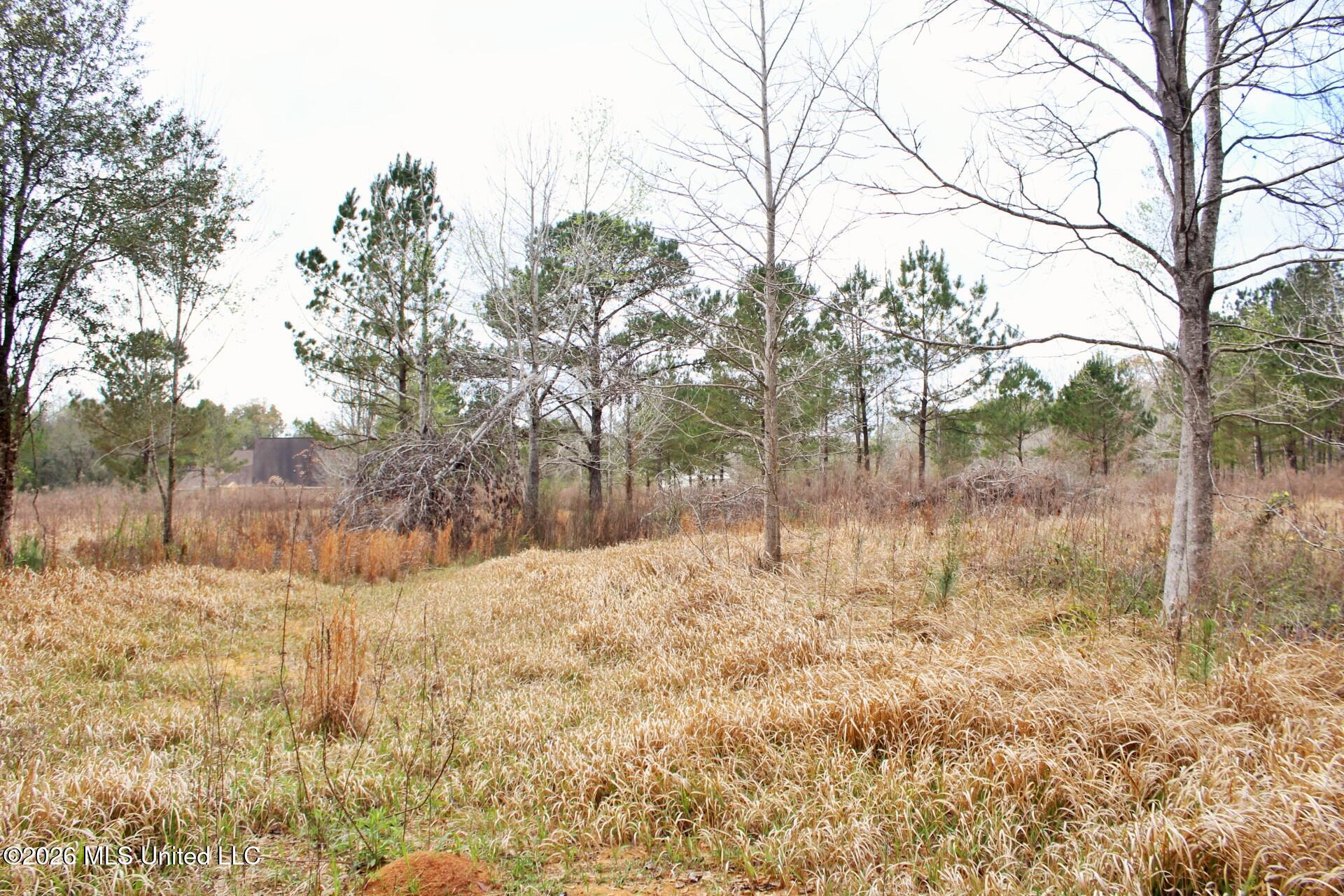 4.63-ac White Road Lucedale, MS 39452 - Photo 8 of 8 8