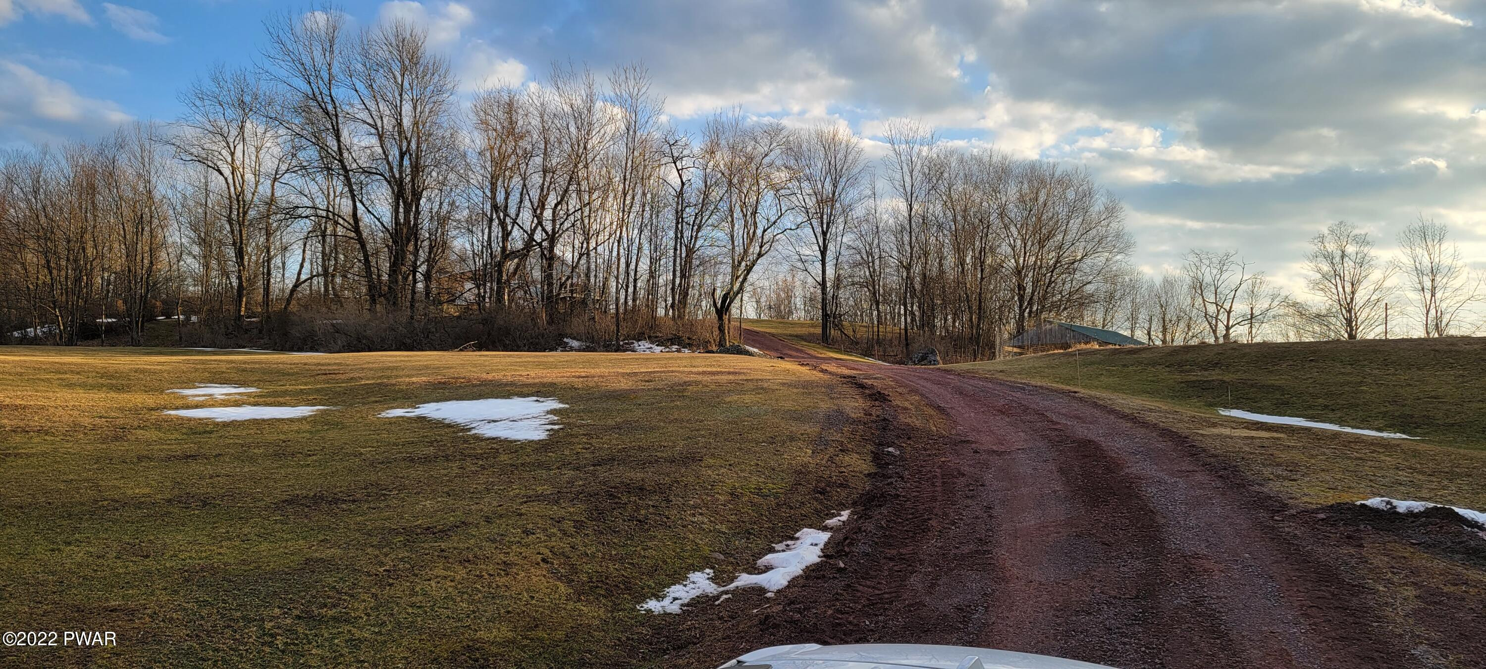 113 Meadow Lane Road Tyler Hill, PA 18469 - Photo 5 of 26 Drive way
