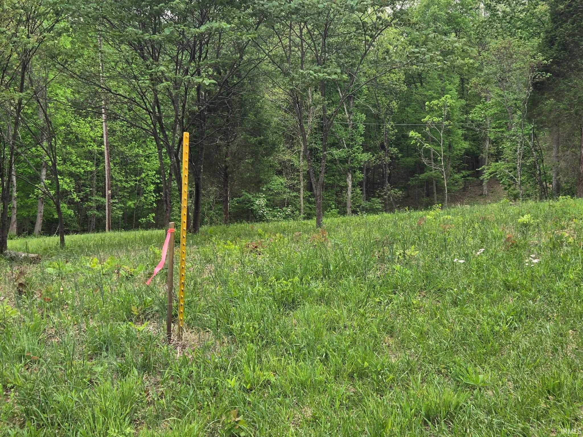 0 West Jericho Road Taswell, IN 47175 - Photo 3 of 10