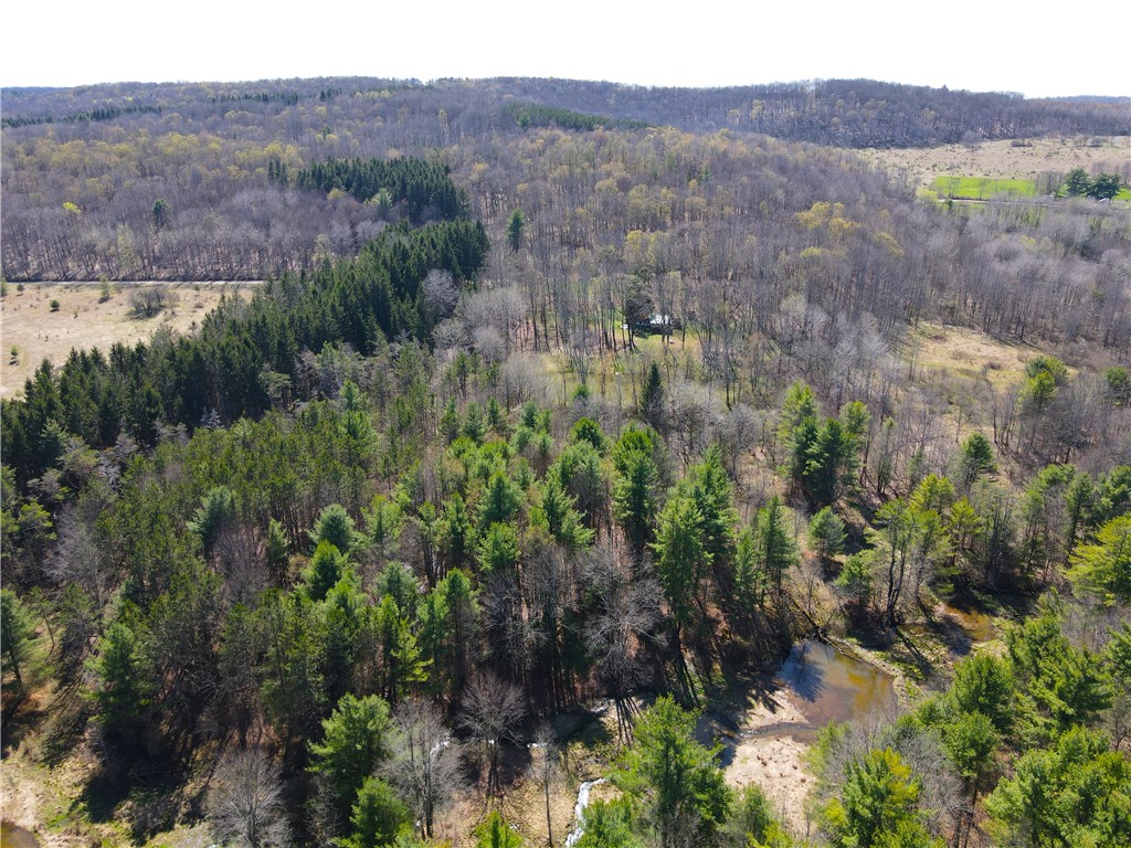 2856 Zimmer Road Scio, NY 14880 - Photo 42 of 50